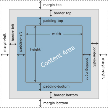 CSS Box 模型